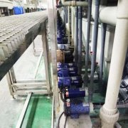 关于草莓成视频人APP下载特点生产的一些概述